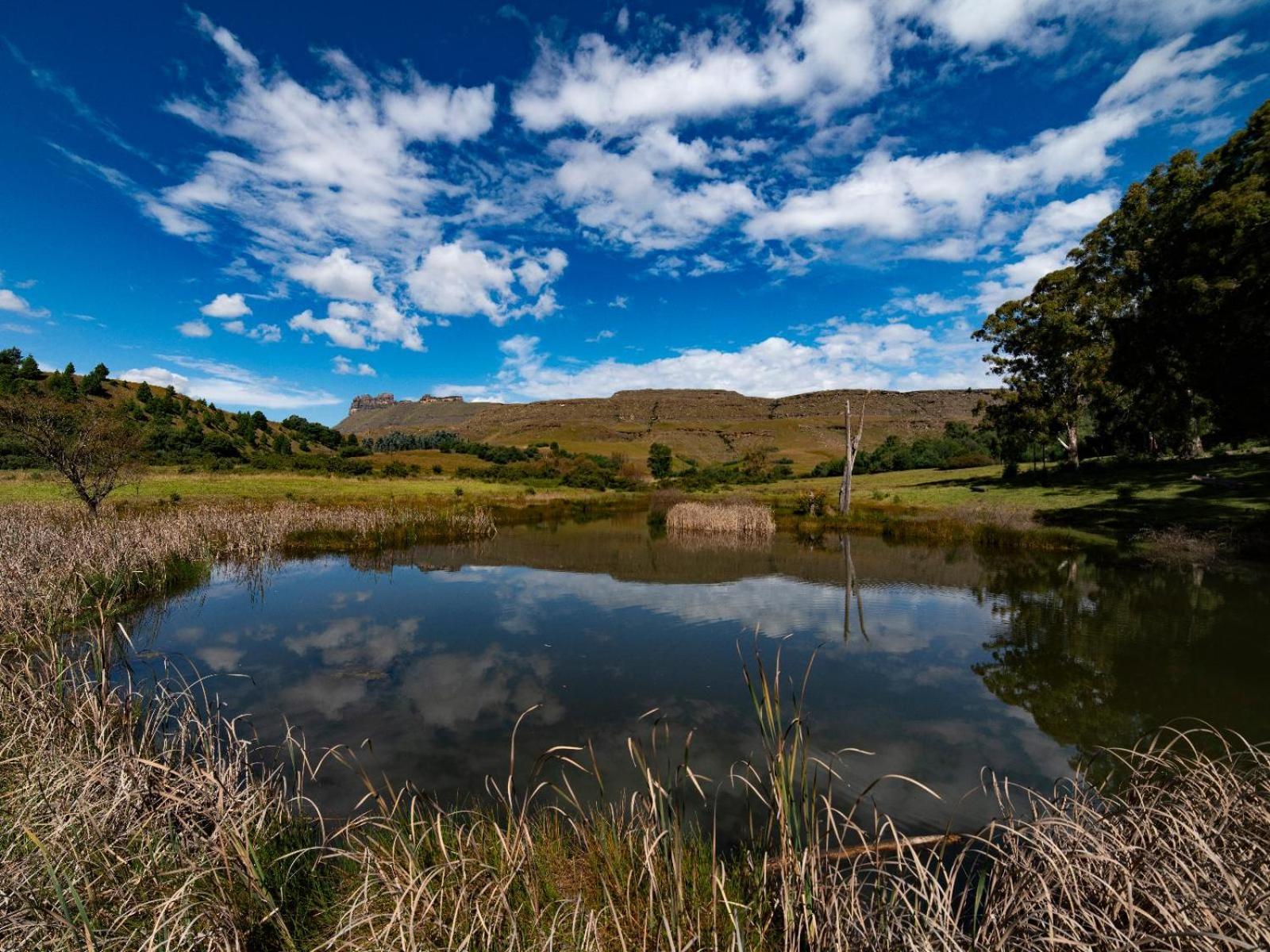 Lake Naverone Holiday Cottages Drakensberg Garden Exterior foto